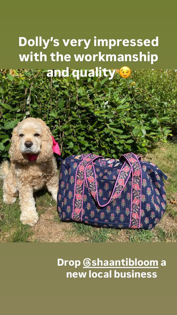 Dolly the Cocker Spaniel